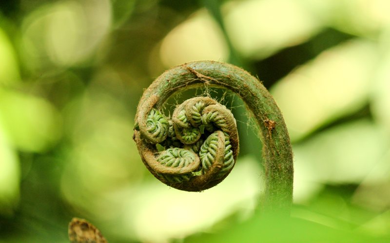 économie circulaire cercle nature économie circulaire