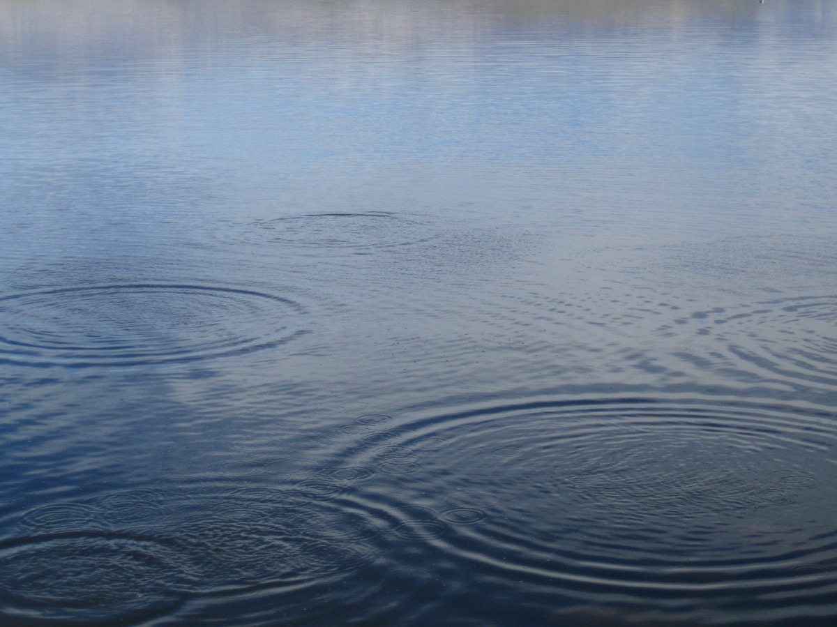 water_ripples_publicdomain_calmwater_circularpattern-108605.jpg!d économie circulaire sobriété